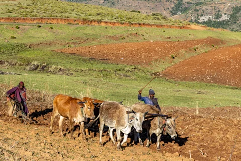 Things to Do & See | Ramabanta Trading Post