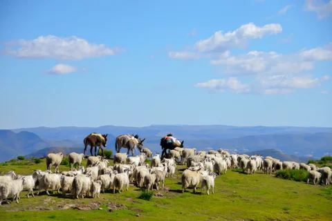 Things to Do & See | Ramabanta Trading Post